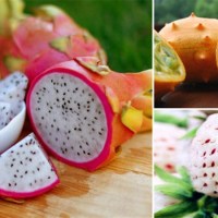 15 extrañas frutas que tal vez no conozcas